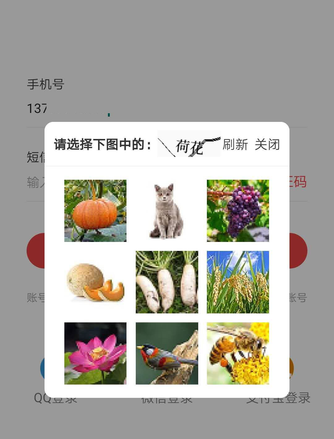 多用戶(hù)商城系統(tǒng)驗(yàn)證碼