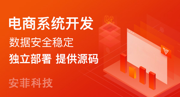 開發(fā)國際電商系統(tǒng)有哪些方案
