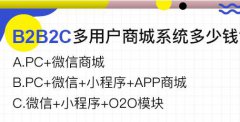 上海B2B2C電子商務(wù)系統(tǒng)開(kāi)發(fā)多少錢(qián)