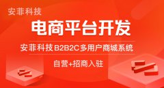 多用戶商城系統(tǒng)開發(fā)使用什么語言