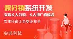開發(fā)微分銷系統(tǒng)有哪些方案