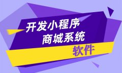 開發(fā)一個(gè)小程序商城需要多少錢