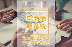 市場上的B2C電子商務(wù)網(wǎng)站有哪些？B2C電子商務(wù)網(wǎng)站的介