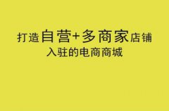 企業(yè)要怎么做電商系統(tǒng)？電商網(wǎng)站又要如何運營的呢？
