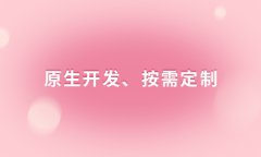 如何搭建電子商務(wù)平臺(tái)？搭建電子商務(wù)網(wǎng)站會(huì)遇到的問(wèn)