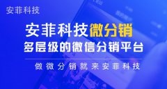 影響分銷系統(tǒng)開發(fā)因素有哪些