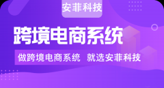 東南亞跨境電商平臺(tái)有哪些