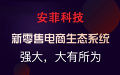 電子商務(wù)系統(tǒng)一般需要多少錢